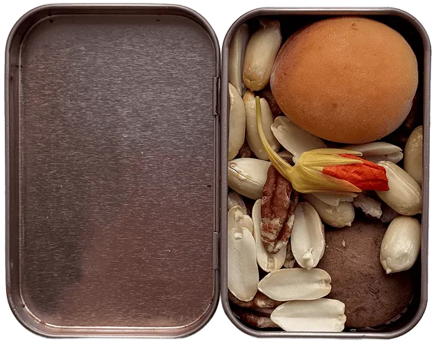 Your free snack tin with curated snacks